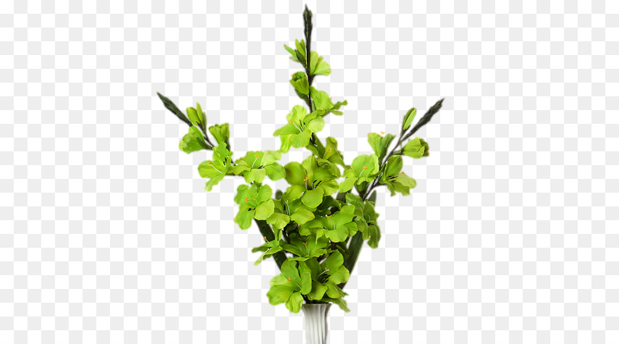 прутик，листовой овощ PNG