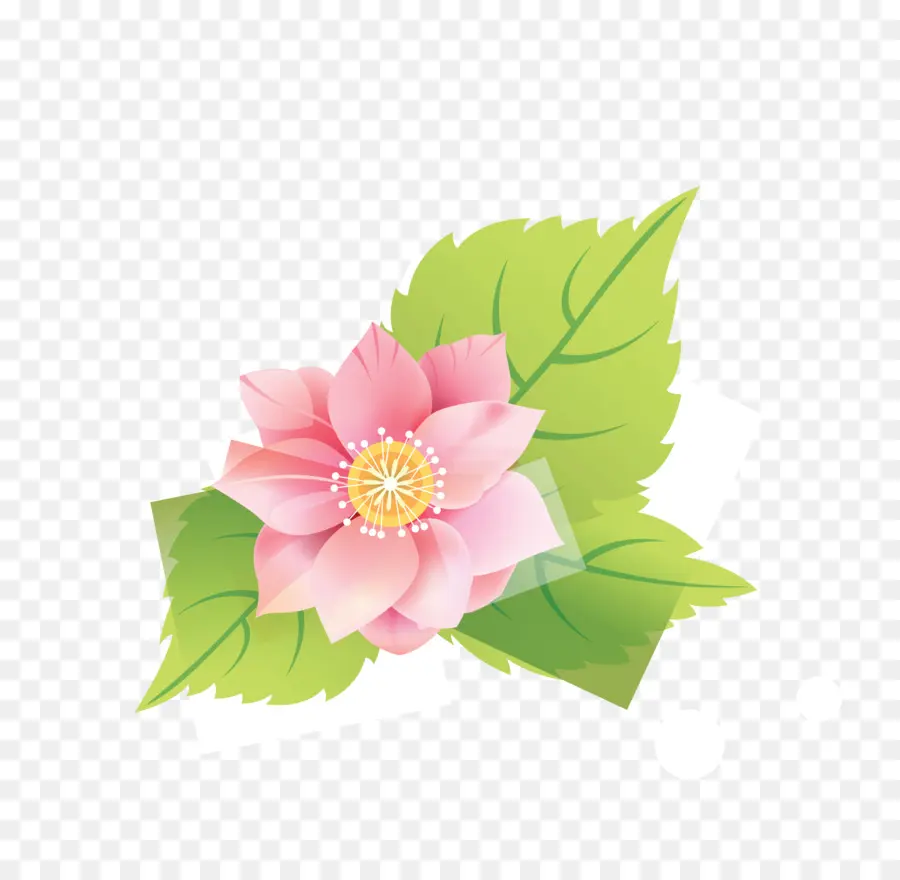 цветок，цветочный дизайн PNG