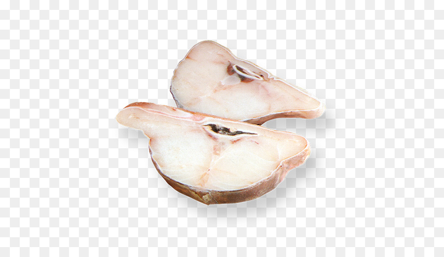 моллюск，челюсти PNG