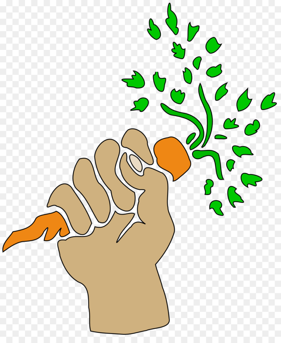 рисунок，морковный PNG