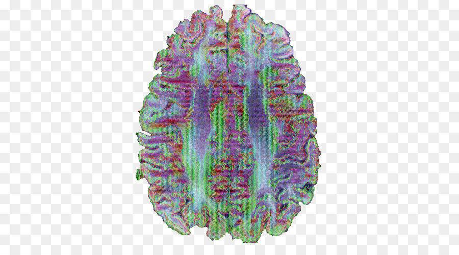 мозг，фиолетовый PNG