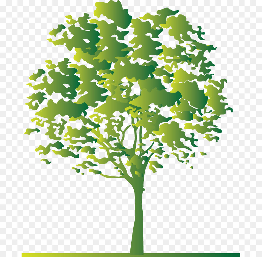 дерево，прутик PNG