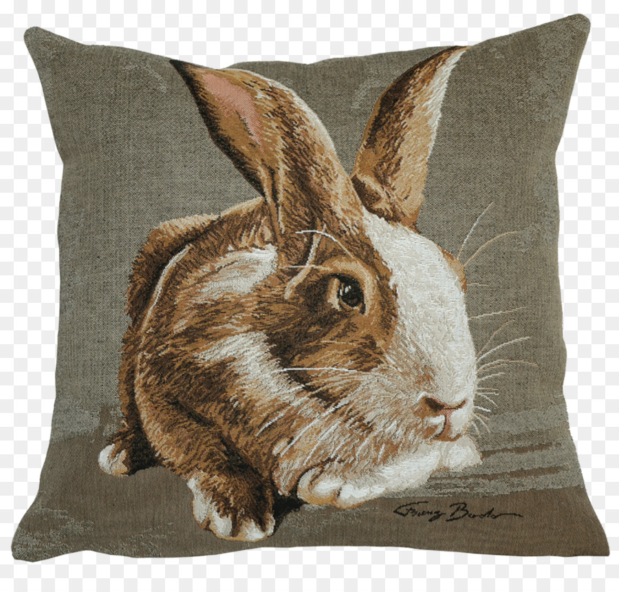 Cushion，домашний кролик PNG