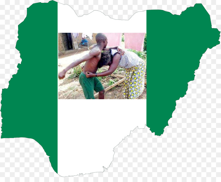Нигерия，нигериец всеобщих выборов 2019 PNG