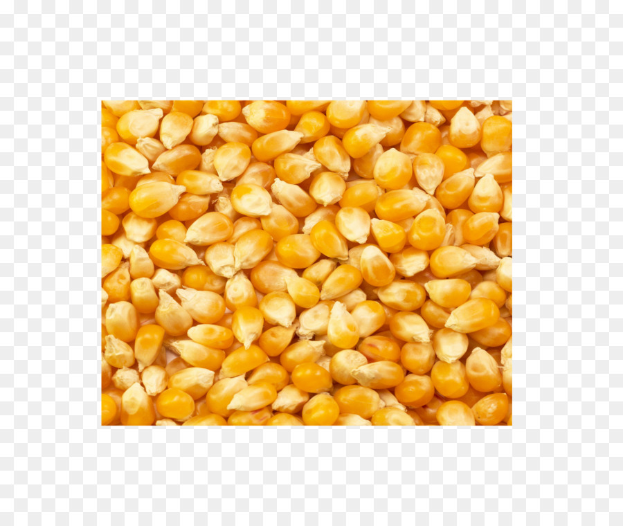 сладкая кукуруза，кукуруза PNG