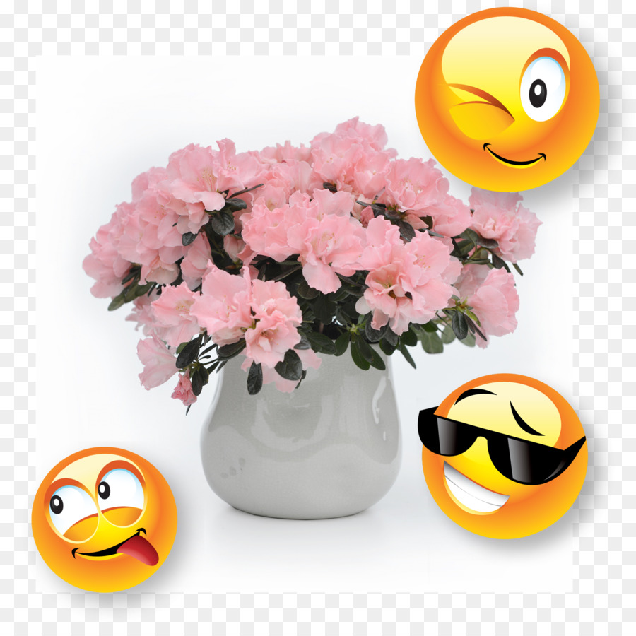 срезанные цветы，улыбчивый PNG