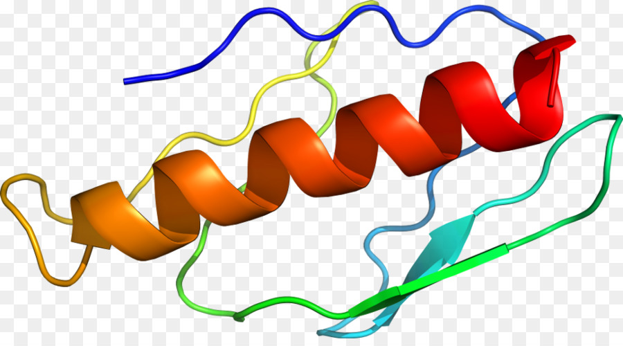 Белковая спираль，Молекула PNG