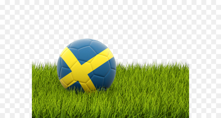 футбол，сборная Швеции PNG