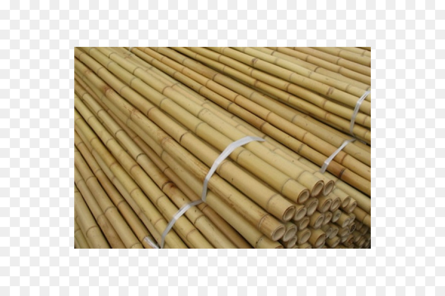 Bamboo，материал PNG