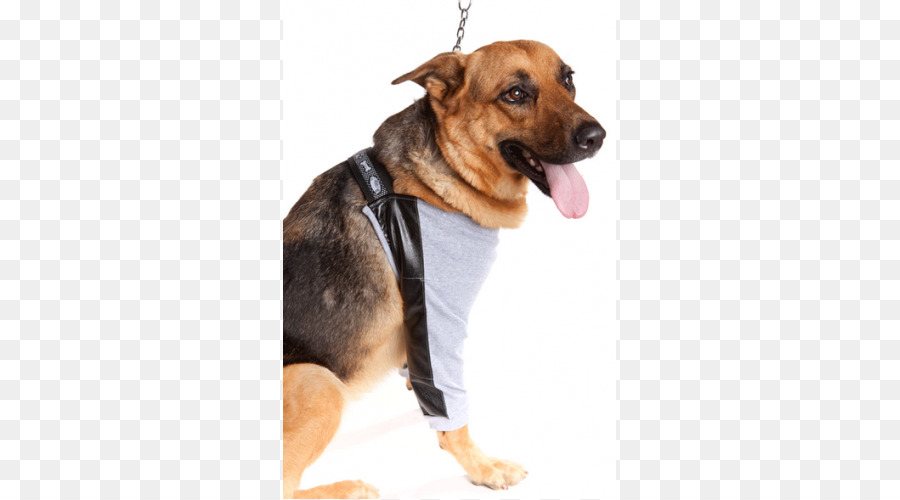 собака породы，German Shepherd PNG