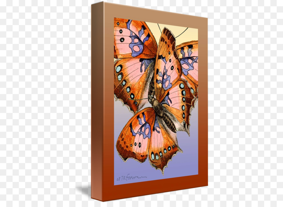 бабочка монарх，бумага PNG
