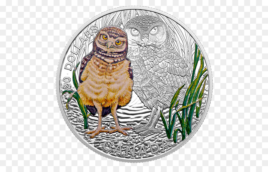 Сова，монета PNG