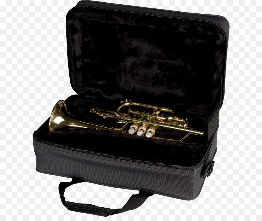 Корнет，Mellophone PNG