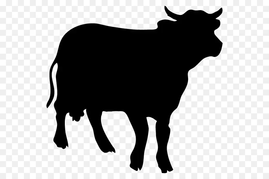 Ангус крупного рогатого скота，силуэт PNG