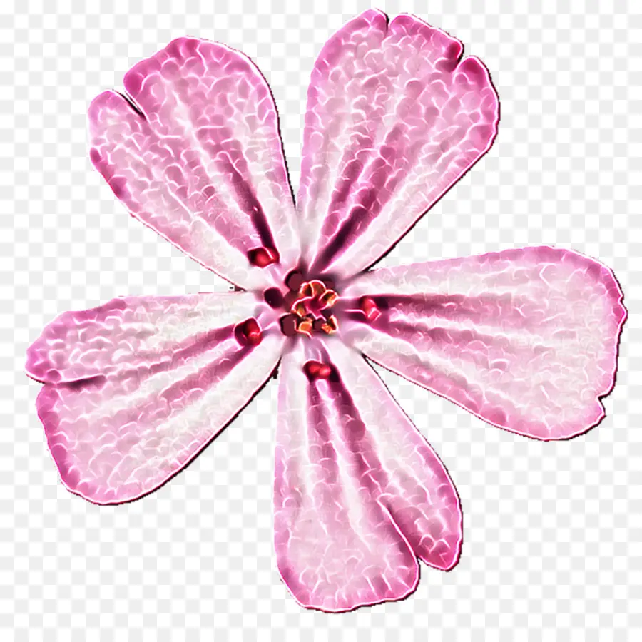 лепесток，розовый M PNG
