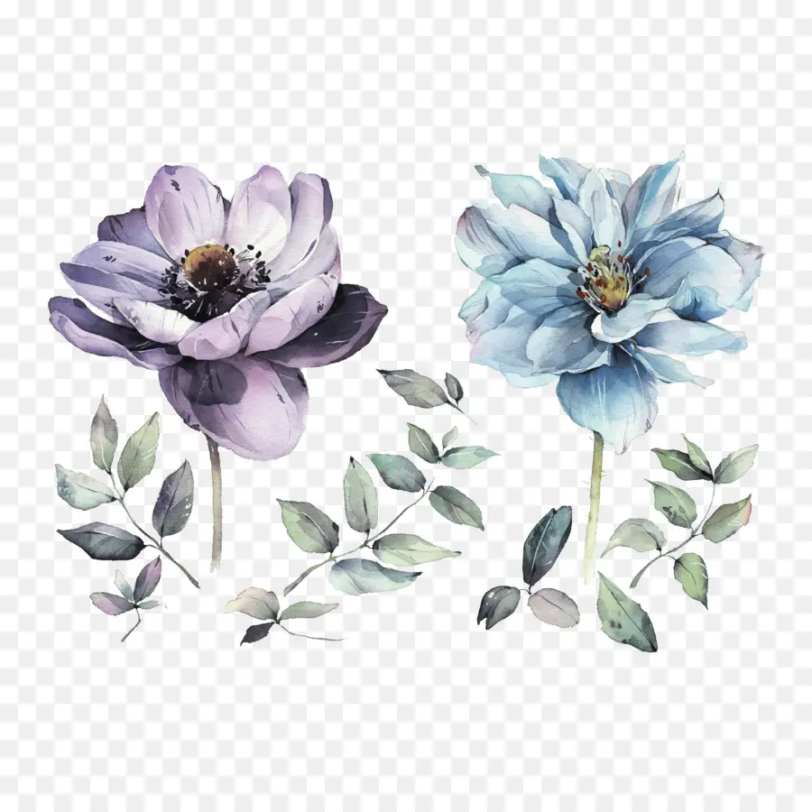 Акварельные Цветы，Watercolor Flowers PNG