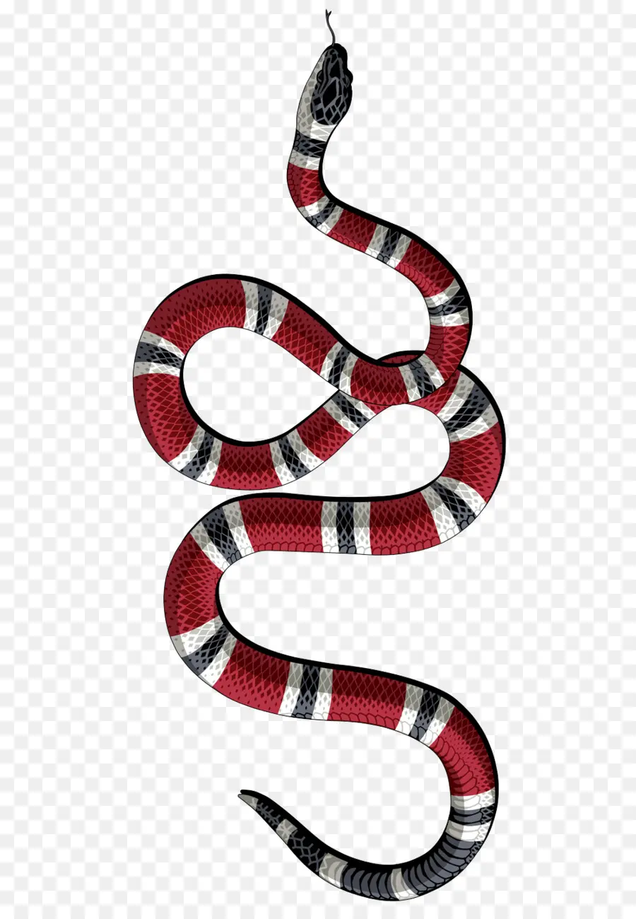 Kingsnakes，змей PNG