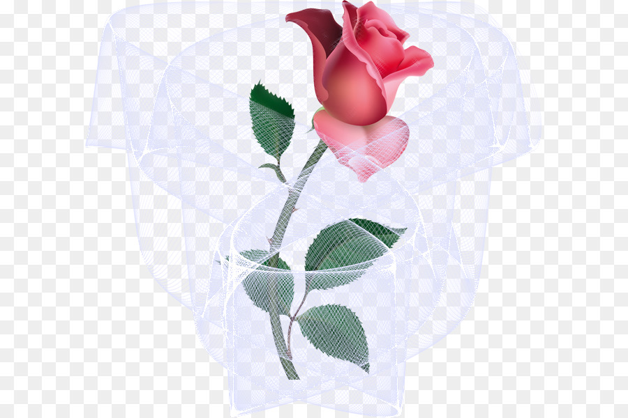 Роза，розовый PNG