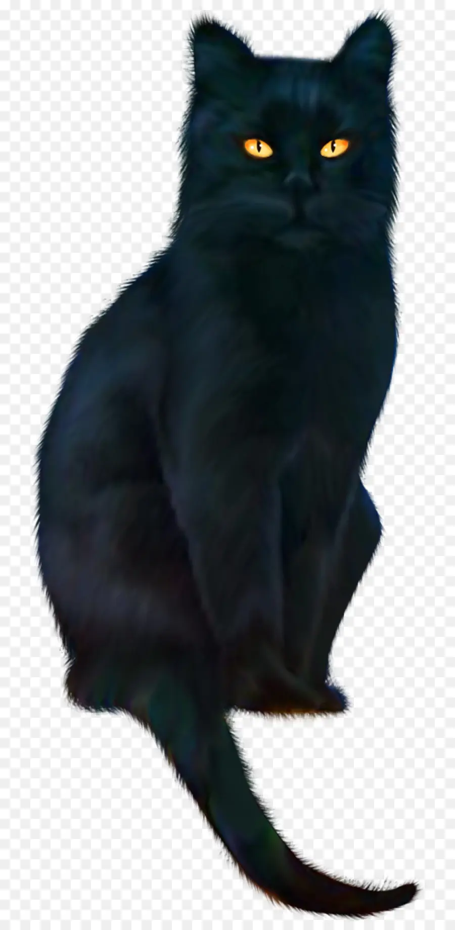 Черный кот，Бомбейская кошка PNG