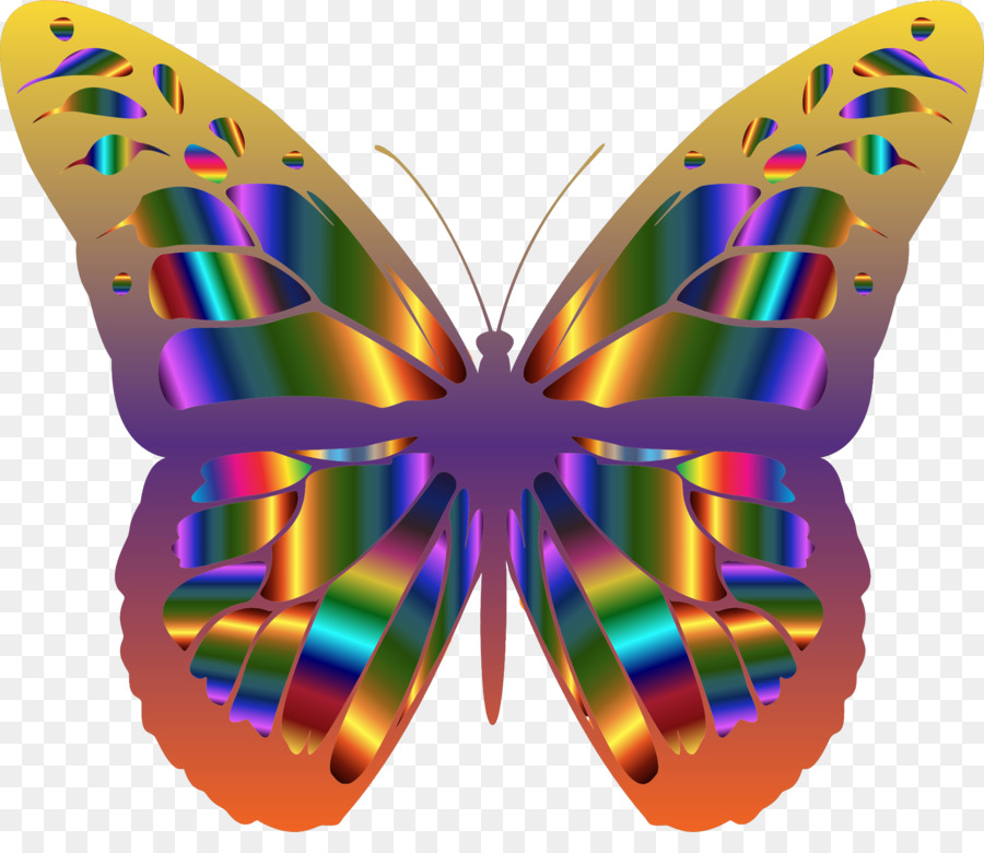 Бабочка，бабочка монарх PNG