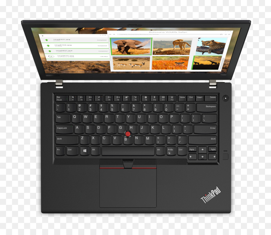 Laptop，Thinkpad В Компании Lenovo T480 PNG