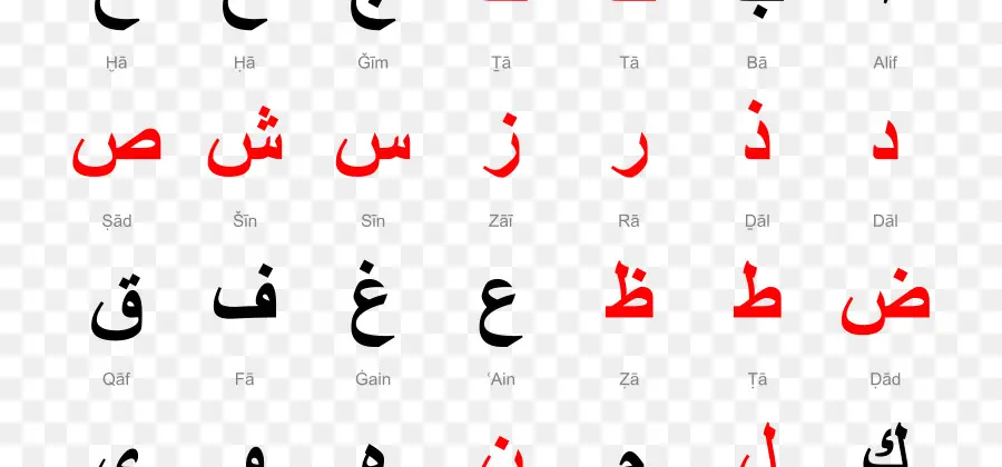 Арабский алфавит，Arabic Language PNG