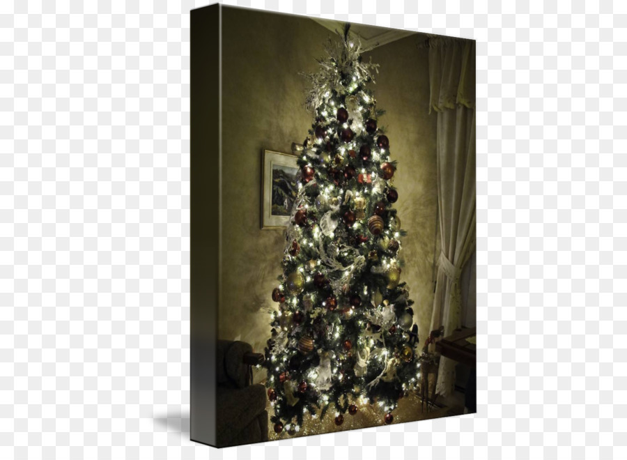 Рождественская елка，Ели PNG