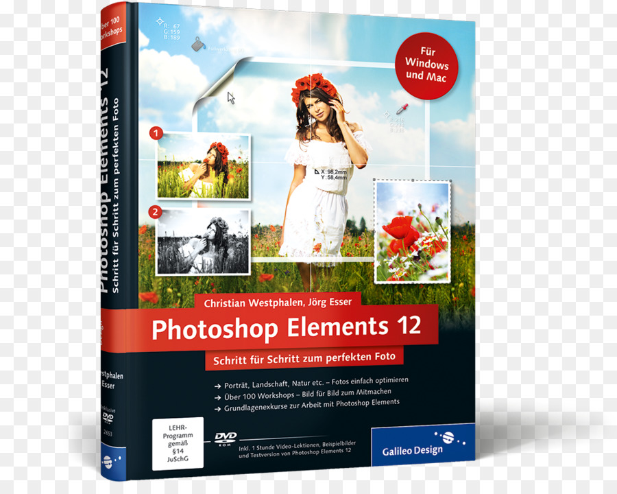 Photoshop Elements 12 шаг за шагом к идеальной фотографии，элементы фотошопа 10 PNG