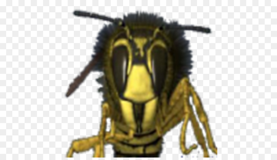 шершень，Пчелка PNG