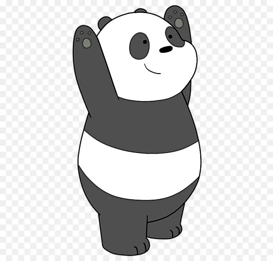 гигантская панда，медведь PNG