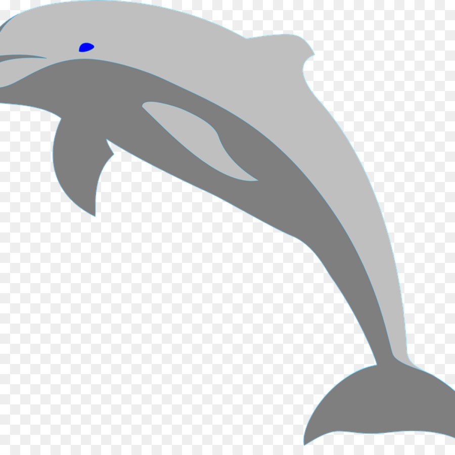 Серый Дельфин