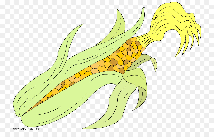 Рисунок，кукурузы PNG