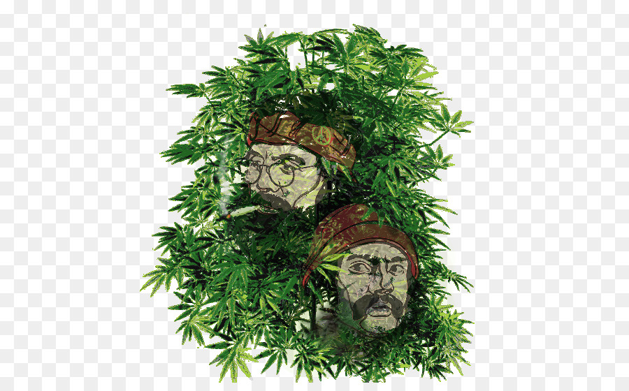 Картинки к фотошопу конопли женщина выращивала марихуану