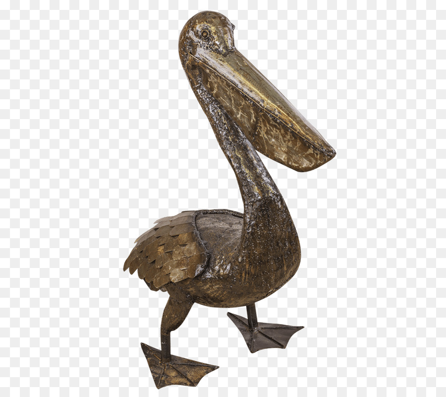 Pelican，Птица PNG