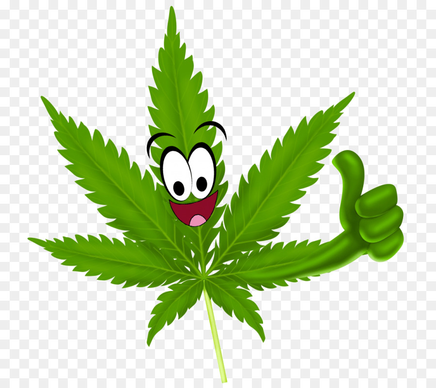 Листья конопли рисунок nexo corp twitter marihuana