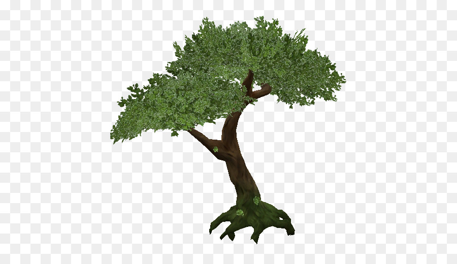 Дерево，Разрешение изображения PNG