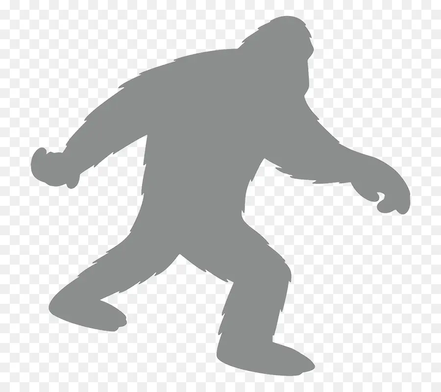 Bigfoot，Йети PNG