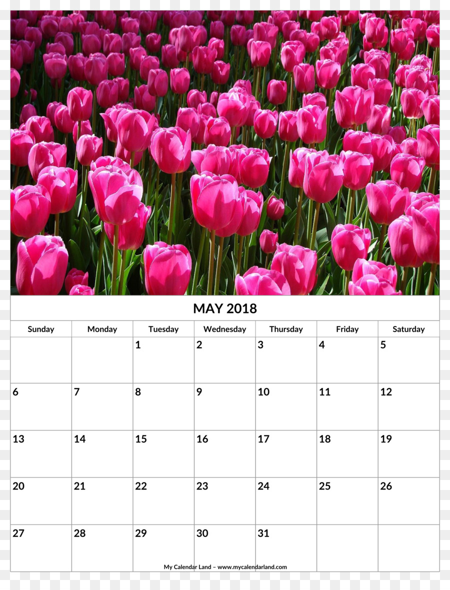 Тюльпан，Календарь PNG
