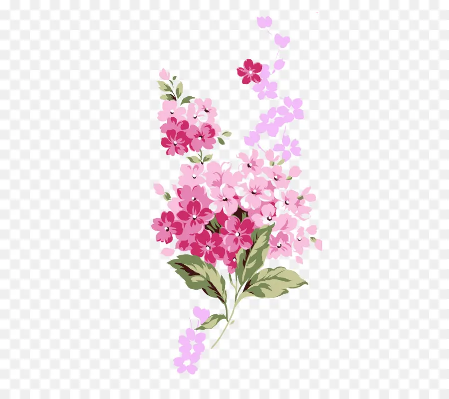 розовые цветы，акварельная живопись PNG