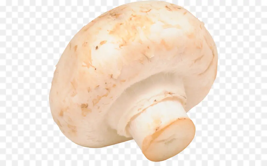 Общий гриб，гриб PNG