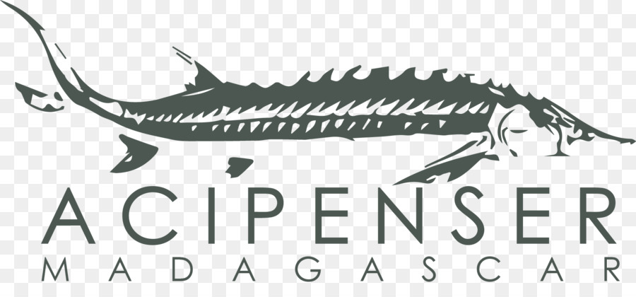 Мадагаскар，логотип PNG