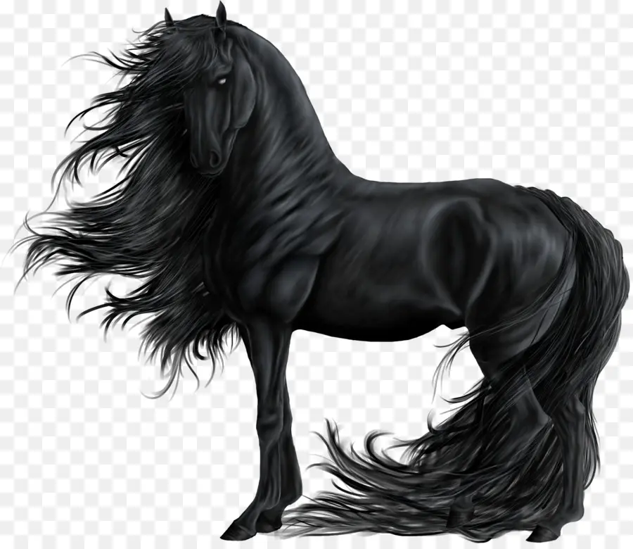 Мустанг，Цыганская лошадь PNG