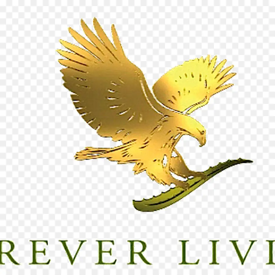 Forever Living Products，СМИ СЕКТОР PNG