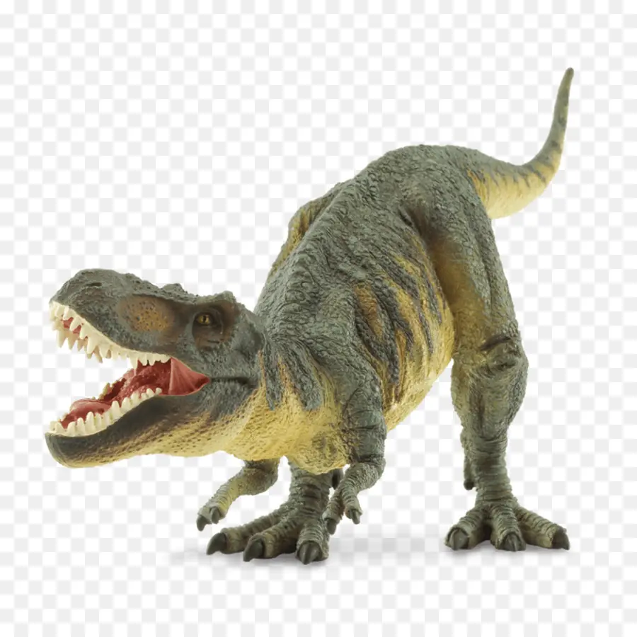 динозавр，трицератопс PNG