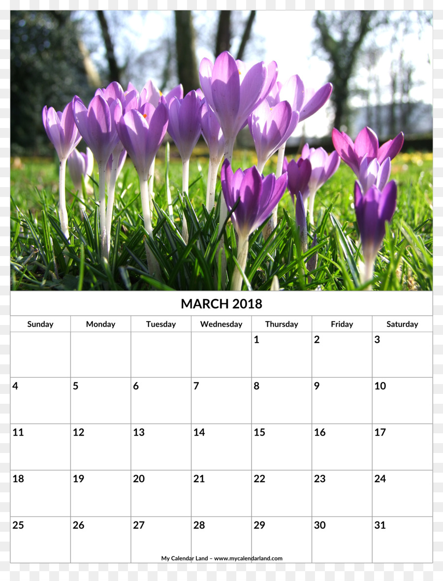 Календарь，весна PNG