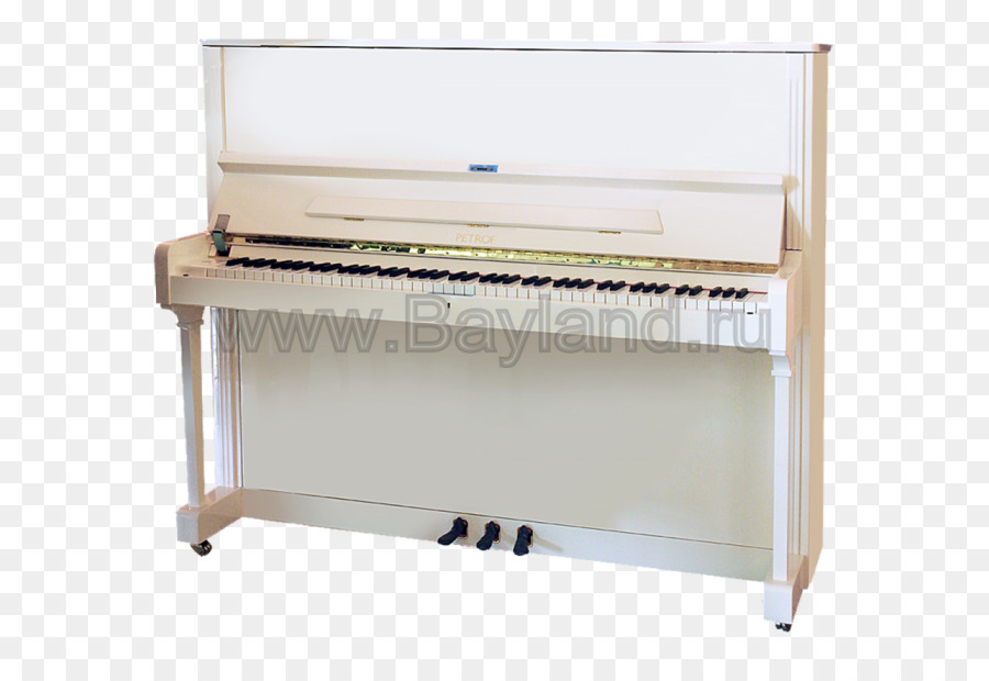 Цифровое пианино，Электрическое пианино PNG