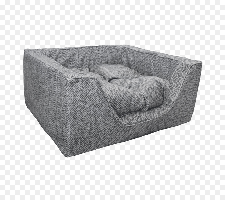 диване，Собака PNG