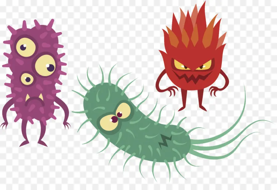 бактерии，вирус PNG