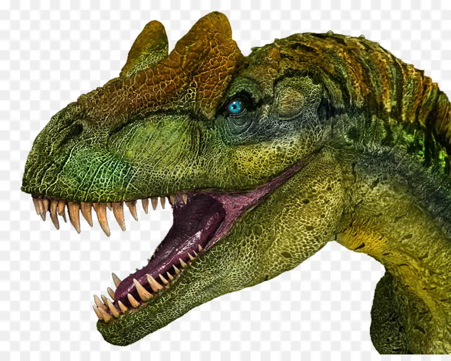 аллозавр，тиранозавр PNG