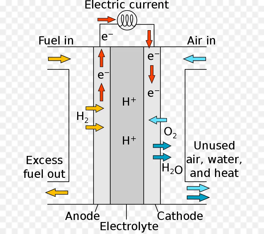 топливный элемент протонександж мембраны，топливные элементы PNG